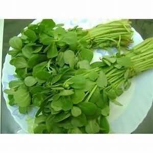 Fenugreek leaves, raw
